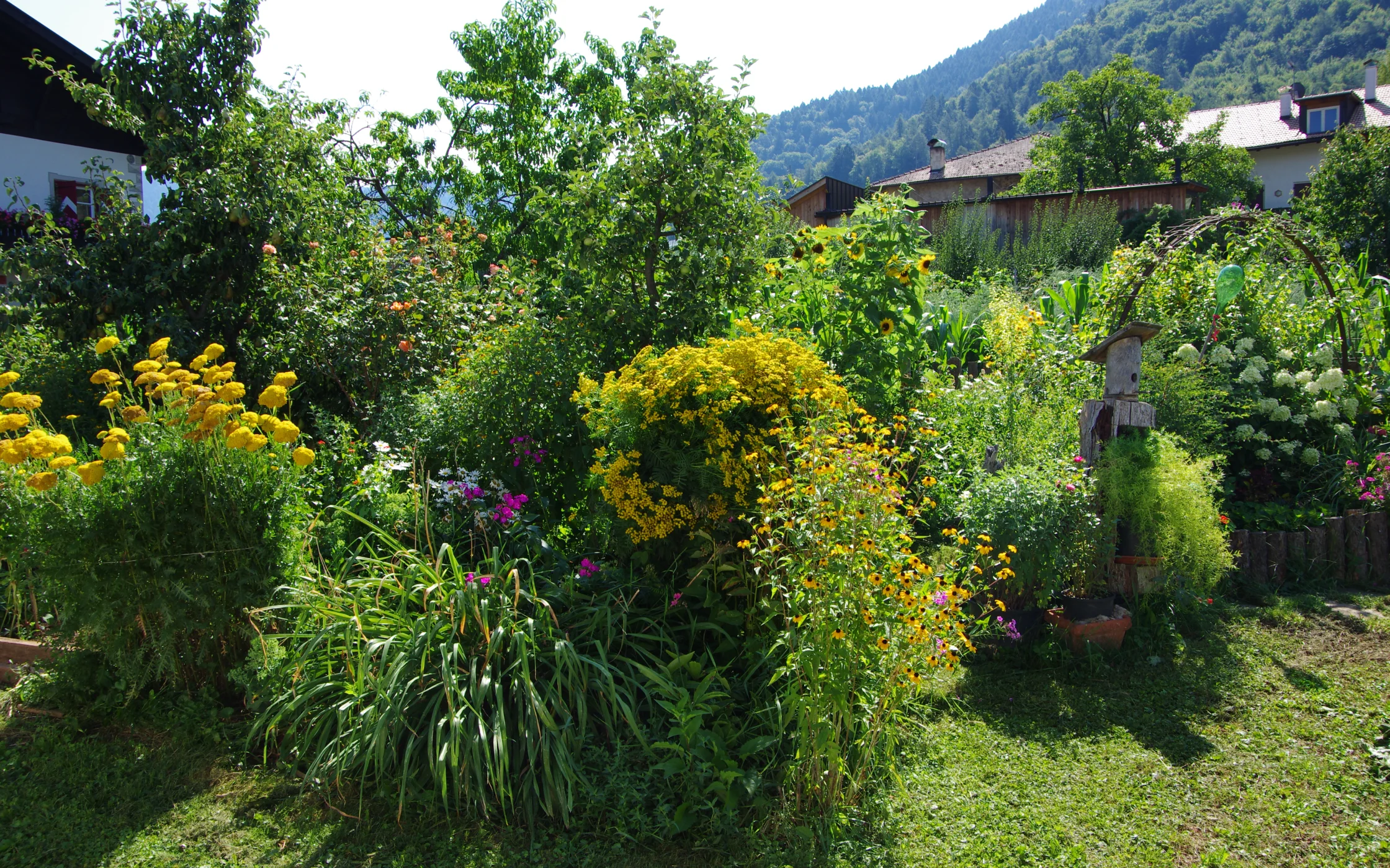 IMGP2152 1.JPG
